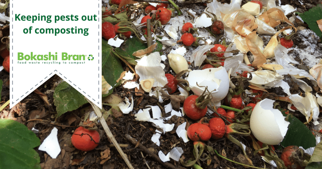 Keeping pests out of compost