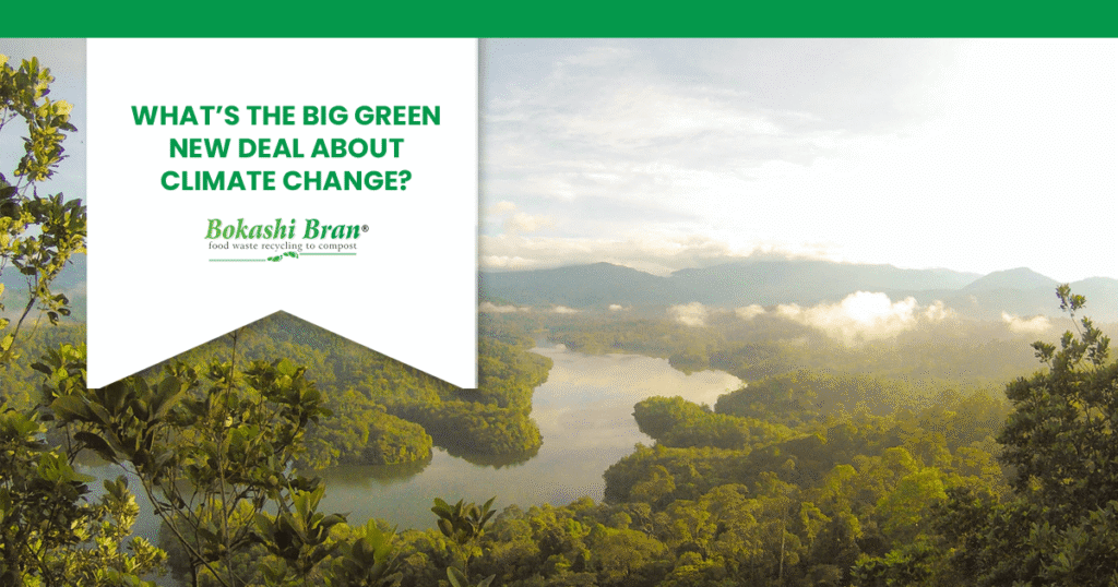 Rainforest and the big green new deal blog