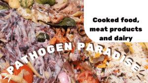 From Hazard to Harmony: Understanding the Perils of Composting Untreated Meat, Dairy, and Cooked Food