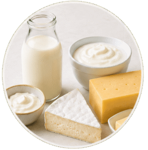 Dairy-products