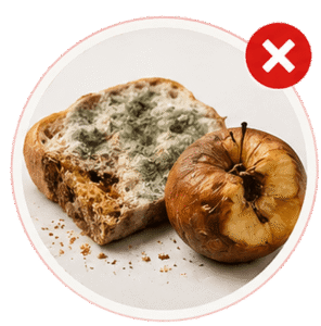 Rotten-food-mould