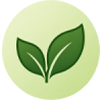 Leaf icon